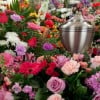 What is Bio Cremation?