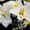Funeral Flowers on a Budget