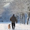 After Funeral Planning: The First Year