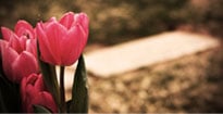 Use our flower shops near Jenkins Funeral Chapel to send flowers