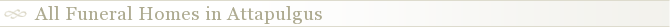 All Funeral Homes in Attapulgus