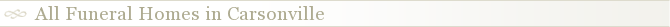 All Funeral Homes in Carsonville