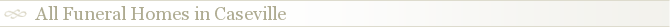 All Funeral Homes in Caseville