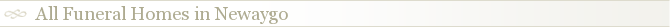 All Funeral Homes in Newaygo