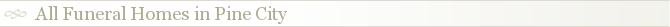 All Funeral Homes in Pine City