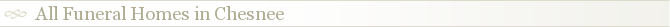 All Funeral Homes in Chesnee