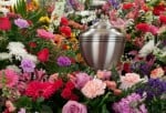 What is Bio Cremation?