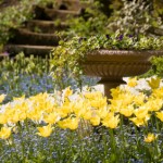 How to Create a Memorial Garden