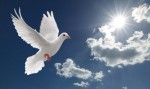 Why it Matters: Dove Releasing and Other Funeral Ceremonies