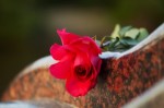 Funeral Planning and Decision Fatigue