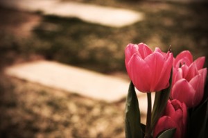 Planting Flowers at a Grave