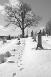 Funeral Planning: Winter Burials