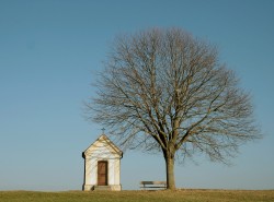 Establishing a Family Cemetery