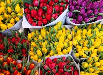 Ethically Sourced Funeral Flowers