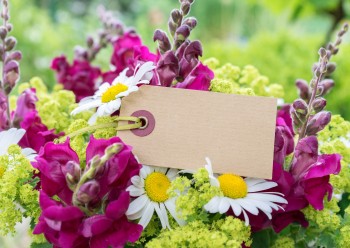 What to Write on Funeral Flowers