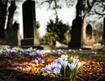 Pros and Cons of Side-by-Side Burial Plots
