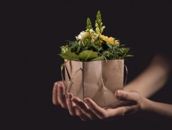 Non-Florist Funeral Flower Options