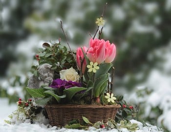 What Kind of Flowers are Appropriate to Order for a Grave?