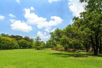 Jones Memorial Funeral Home offers funeral home and cemetery services in Macon, MS.