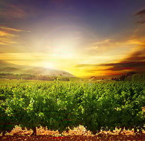 Vaughn Funeral Home offers funeral home and cemetery services in Weston, MO.