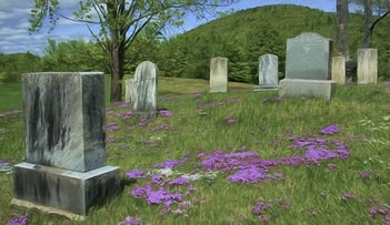 Olive Branch Cemetery Association offers funeral home and cemetery services in Belle Vernon, PA.