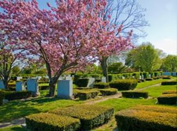 Exterior shot of New Montefiore Cemetery