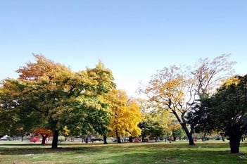 Exterior shot of Evergreen Cemetery