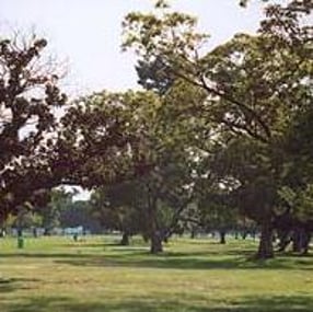 Exterior shot of Roosevelt Memorial Park