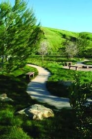 Interior shot of MT Sinai Memorial Park