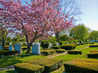 Exterior shot of New Montefiore Cemetery