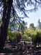 Exterior shot of Alamo-Lafayette Cemetery Dist