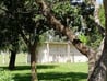 Exterior shot of Odd Fellows Cemetery