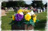 Exterior shot of Brookland Cemetery