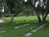 Interior shot of MT Sinai Memorial Park