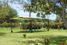 Exterior shot of Diamond Head Memorial Park